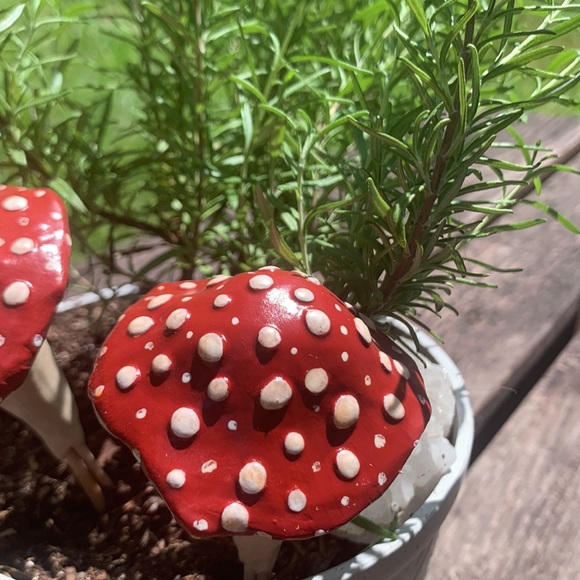 [3] Garden Stake MUSHROOMS w/ SPOTS! 🙌🏽❤️🌈🍄 - Picture 5 of 11